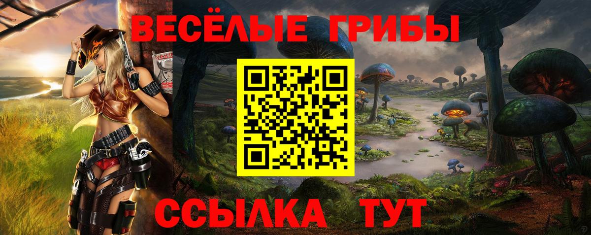 Галлюциногенные грибы Psilocybe  Вход с VPN  Усолье-Сибирское 
