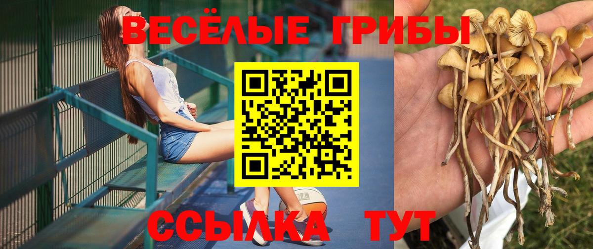 Псилоцибиновые грибы ЛСД Усолье-Сибирское